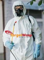 Target Wasp Removal Brisbane image 6